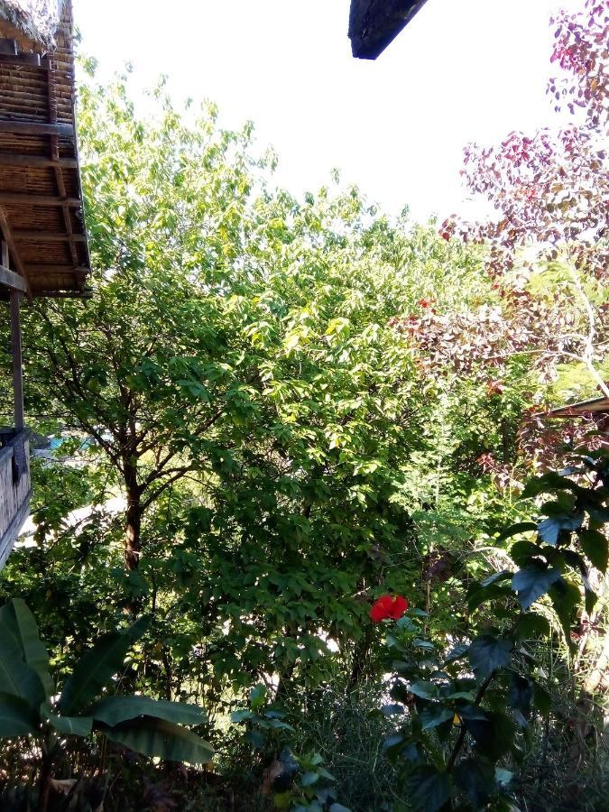 Island Home Ονιάρα Εξωτερικό φωτογραφία